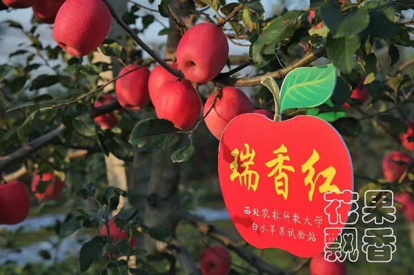 微信图片_20211202103512.jpg